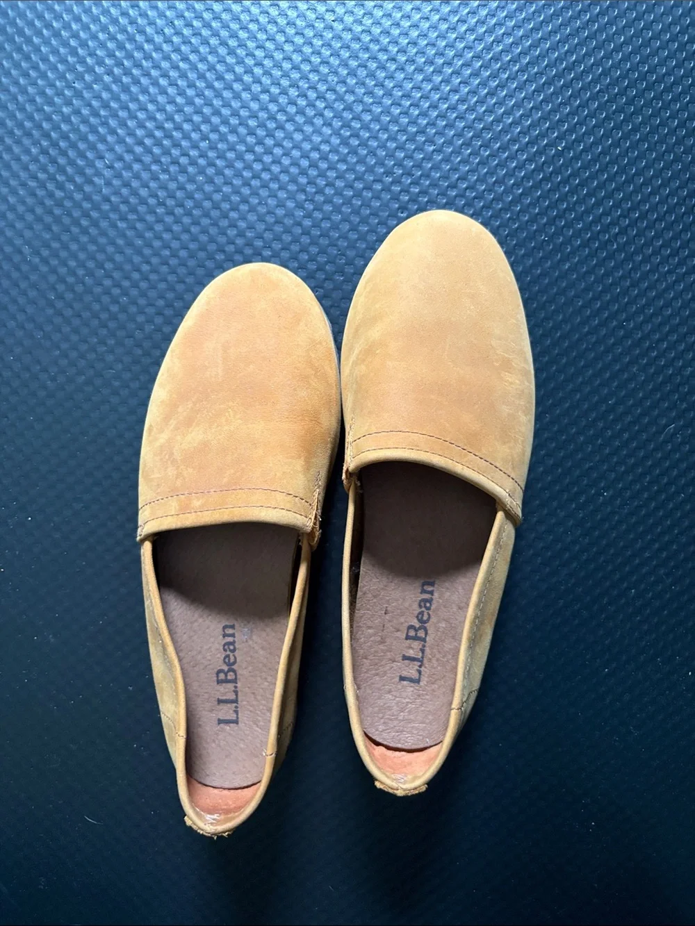 L.L. Bean suede slip